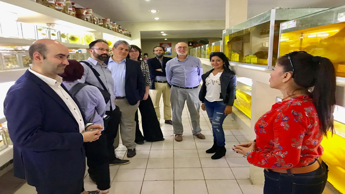 RECONOCIMIENTO AL MUSEO ICTÍCOLA DR. JORGE ESTÍVAREZ JUSTINIANO