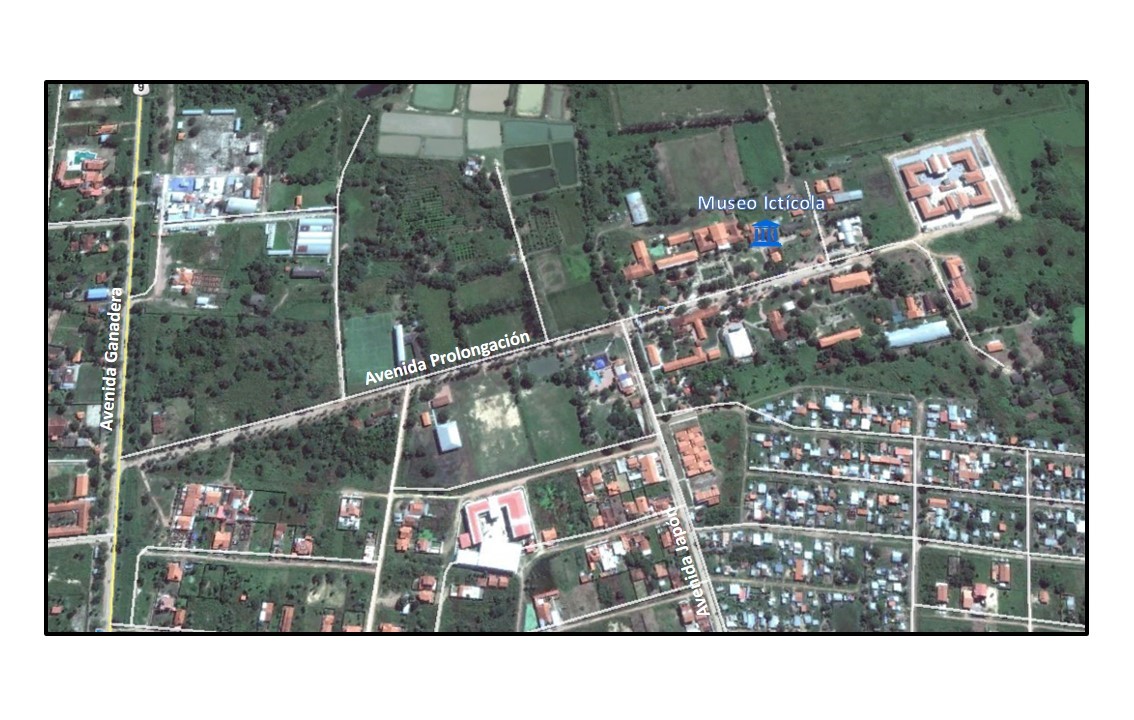 Ubicación Ubicación