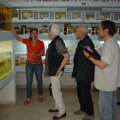 Gallery23