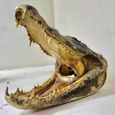 Gallery28