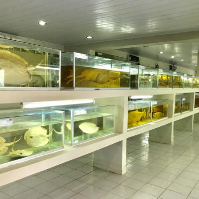 Gallery35