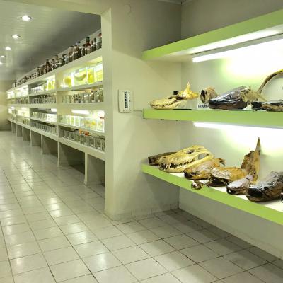 Gallery36