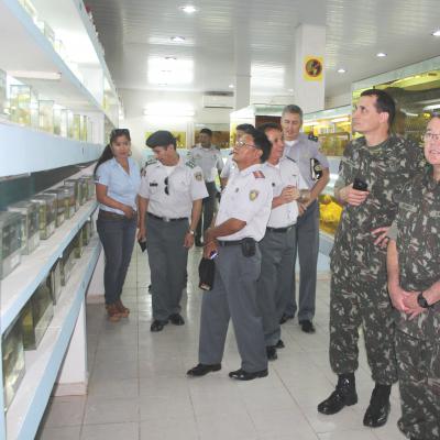 Gallery9